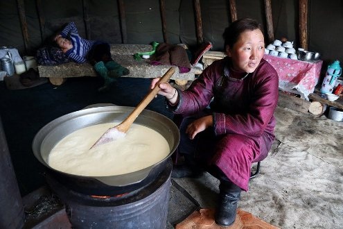 Tới thăm bộ tộc chăn nuôi tuần lộc cuối cùng ở Mông Cổ - 5 Tới thăm bộ tộc chăn nuôi tuần lộc cuối cùng ở Mông Cổ - 5