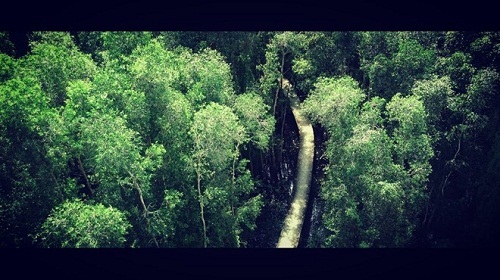 Đổi gió với những địa điểm phượt gần Sài Gòn - 5 Đổi gió với những địa điểm phượt gần Sài Gòn - 5