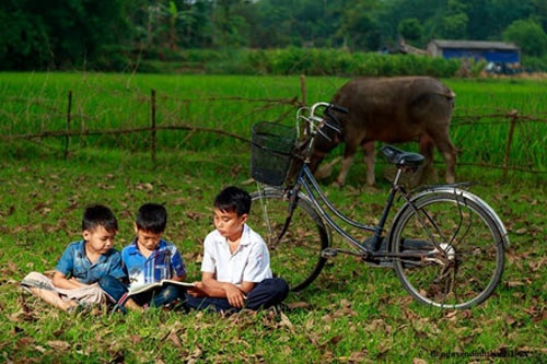Bộ ảnh đồng quê Bắc Bộ khiến ai cũng phải nhớ nhà - 7 Bộ ảnh đồng quê Bắc Bộ khiến ai cũng phải nhớ nhà - 7