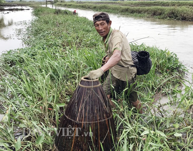 Độc đáo "dàn trận" tập thể bắt cá bằng... nơm tre - 5 Chụp nơm - hình thức bắt cá vốn rất phổ biến của người dân vùng quê Quảng Ngãi ở nhiều thập niên trước