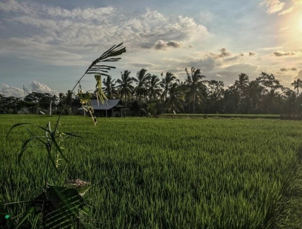 Top 10 điều cần làm khi đi du lịch Bali - 6 Top 10 điều cần làm khi đi du lịch Bali - 6