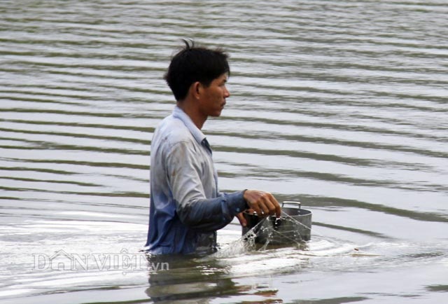 Mang lưới, vác nơm ra đồng "kiếm cơm" trong mùa lũ - 5 Mang lưới, vác nơm ra đồng "kiếm cơm" trong mùa lũ - 5