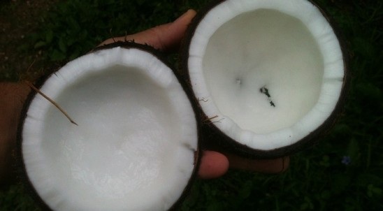 Những cách đơn giản tiêu diệt mảng bám trên răng - 7