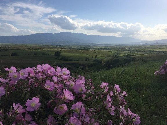 Những điểm đến tốt nhất cho du lịch giá rẻ năm 2017 - 7