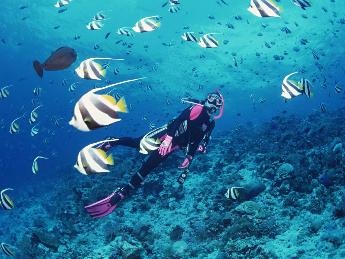 3 lý do Nha Trang đạt top 10 điểm đến hấp dẫn nhất Châu Á 2016 - 8 3 lý do Nha Trang đạt top 10 điểm đến hấp dẫn nhất Châu Á 2016 - 8