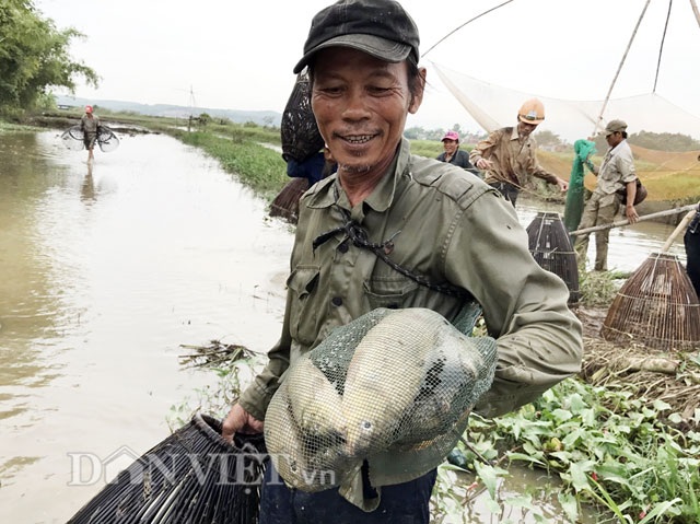 Độc đáo "dàn trận" tập thể bắt cá bằng... nơm tre - 6
Sản phẩm thu được sau một buổi đi chụp nơm.
