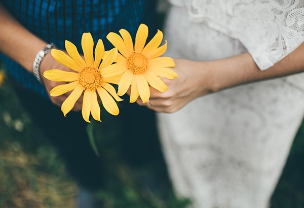 Dã quỳ Đà Lạt thúc giục các tín đồ du lịch - 6 Dã quỳ Đà Lạt thúc giục các tín đồ du lịch - 6