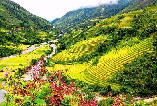 Sa Pa, Đà Lạt là Điểm đến mới nổi châu Á 2017 - 1
Sa Pa, thị trấn cuốn hút du khách nhờ những chuyến trekking thú vị, ẩm thực hấp dẫn gồm cả món địa phương lẫn các món Âu, các phiên chợ, khu mua sắm hay nhà thờ Pháp cổ. Azurest94 (Đức), chia sẻ trên TripAdvisor.