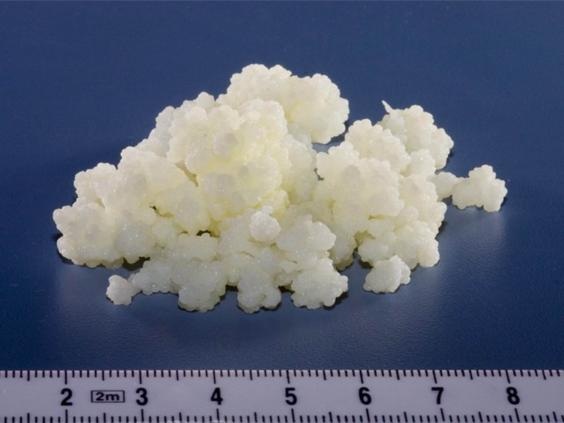 Các “hạt” kefir khi kéo giãn