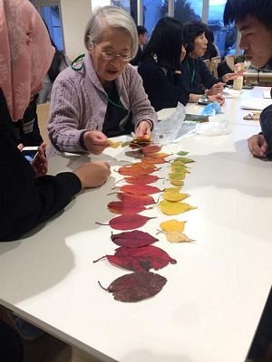 Đón mùa Đông đến sớm ở Hokkaido - 7 Đón mùa Đông đến sớm ở Hokkaido - 7