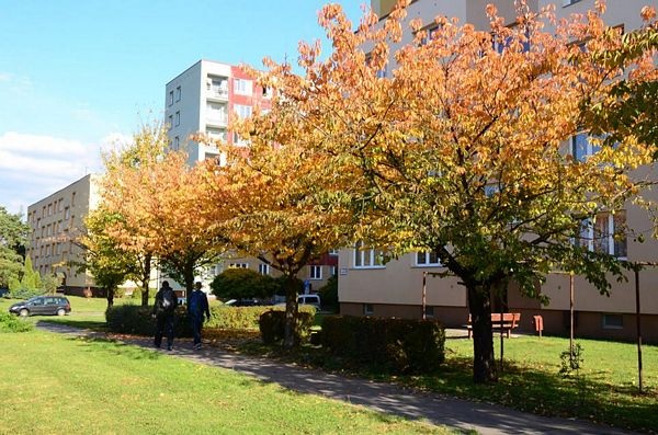 Ostrava mùa Xanh - Vàng - Đỏ - Trắng - 8 Ostrava mùa Xanh - Vàng - Đỏ - Trắng - 8