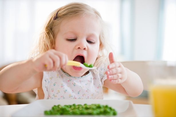 Trẻ 5 tuổi bị ăn kém, không thích ăn đồ xanh thì nên làm gì để tăng cân?
