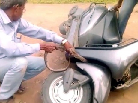 
Ảnh cắt từ clip
