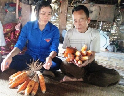 Nhiều tri thức trẻ đã giúp dân thoát nghèo với nhiều sáng kiến trong trồng trọt và chăn nuôi