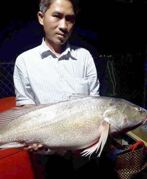 Bắt được cá nghi sủ vàng nặng gần 8 kg - 1
Anh Lợi bên con cá được cho là sủ vàng nặng 8 kg (ảnh do nhân vật cung cấp)