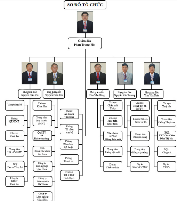 
Sơ đồ tổ chức Sở NN&PTNT Bình Định có tới 5 Phó giám đốc sở.
