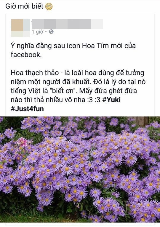 Ý nghĩa biểu tượng "hoa tím" tràn ngập trên mạng xã hội Facebook - 2 Hàng loạt tranh cãi đã nổ ra trên mạng xã hội Facebook để đi tìm ý nghĩa thực sự của biểu tượng hoa tím