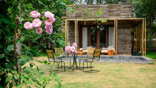 Sáng thức dậy giữa hương hoa thơm ngát - 1 Căn biệt thự gỗ duyên dáng giữa rừng thông