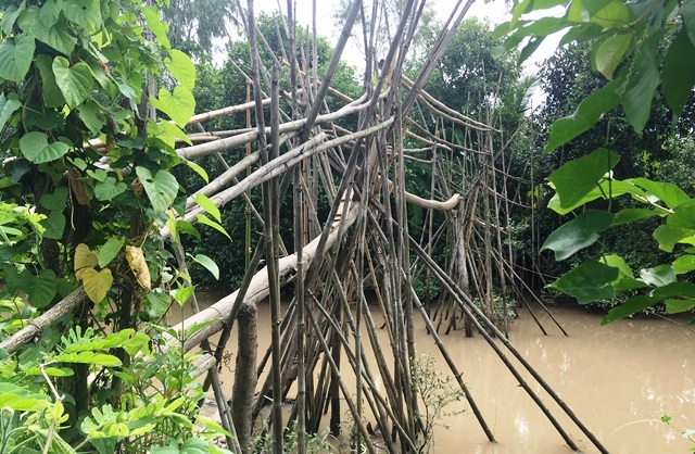 Ngắm cây cầu khỉ “siêu độc” có nhiều trụ hơn... cầu Cần Thơ! - 1 Ngắm cây cầu khỉ “siêu độc” có nhiều trụ hơn... cầu Cần Thơ! - 1