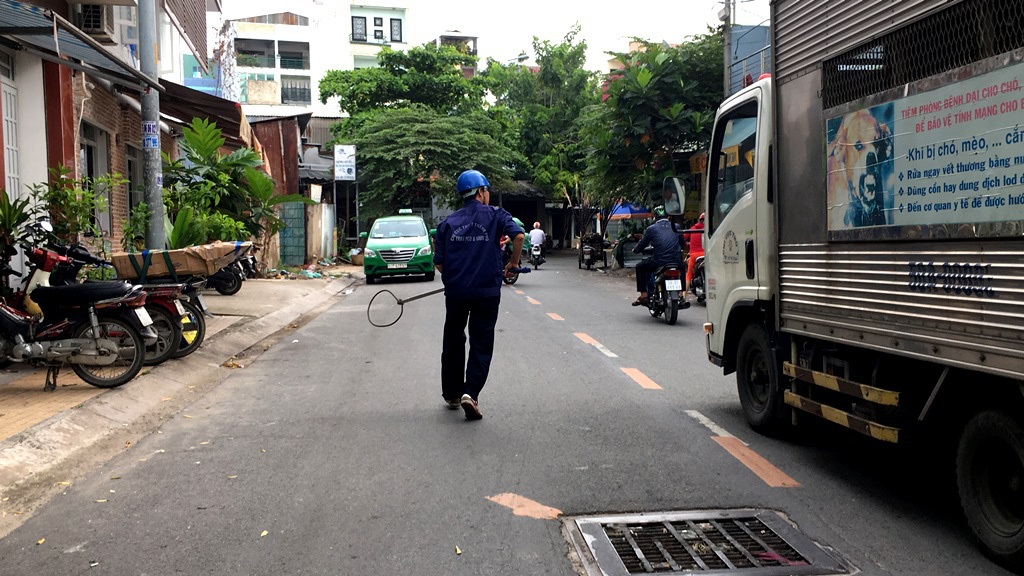 Khóc mếu cảnh lùng bắt chó thả rông trên phố - 1 Khóc mếu cảnh lùng bắt chó thả rông trên phố - 1