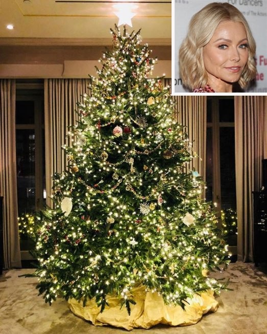 Sao trang hoàng cây thông Noel ra sao - 15
Kelly Ripa và cây thông cực sang