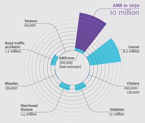 Lựa chọn kháng sinh phù hợp cho đúng đối tượng bệnh nhân - 1 Lựa chọn kháng sinh phù hợp cho đúng đối tượng bệnh nhân - 1