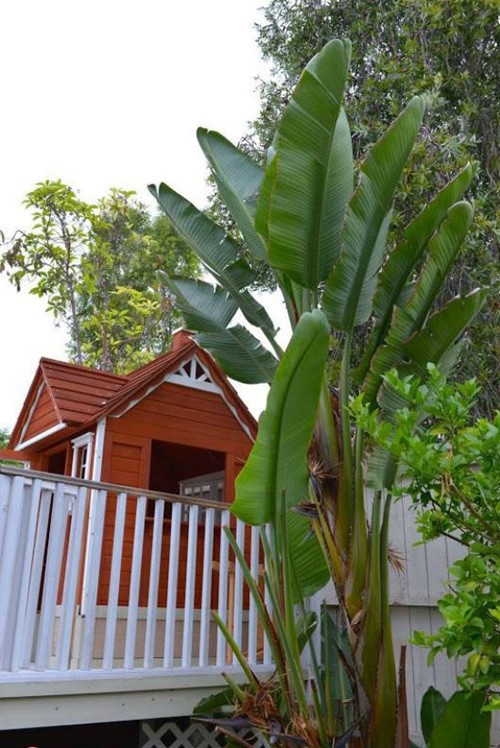 Ca sĩ Thu Phương thực sự giàu đến mức nào? - 11