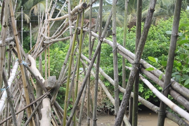 Ngắm cây cầu khỉ “siêu độc” có nhiều trụ hơn... cầu Cần Thơ! - 4 Những cây trụ cầu và lan can chi chít tre trông giống như hàng rào của nhà dân ở vùng quê