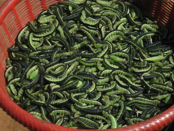 Những ngôi làng kỳ lạ "có một không hai" ở Việt Nam - 6