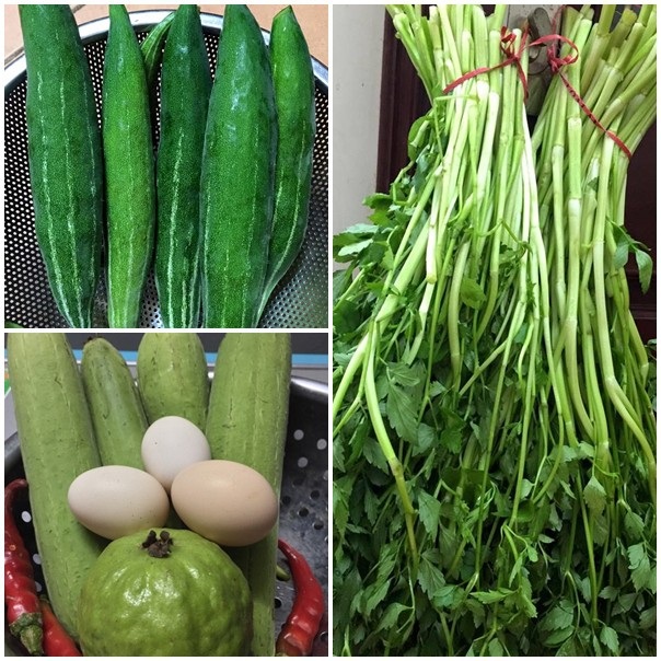 “Trang trại” mini ngập tràn rau, gà, chim câu của bà mẹ Hà Nội - 11 Thành quả gặt hái được từ khu vườn trên cao của gia đình chị Quách Thị Nhịp.
