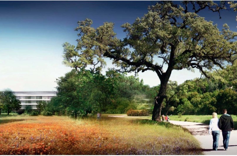 Toàn cảnh Apple Park - công trình văn phòng đẹp nhất trên thế giới - Ảnh 14. Toàn cảnh Apple Park - công trình văn phòng đẹp nhất trên thế giới - Ảnh 14.