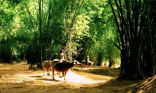 Bến sông quê nội chiều cuối năm - 1 Bến sông quê nội chiều cuối năm - 1