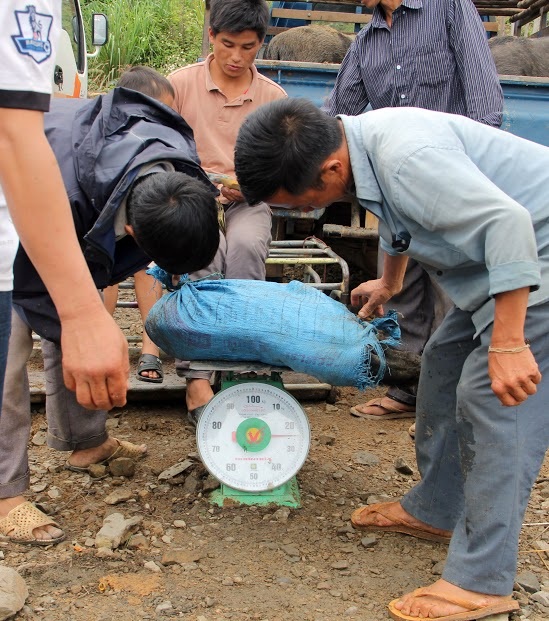 “Chen chân” ở chợ vùng biên trong kỳ nghỉ lễ - 8
Sau khi mua xong được cân