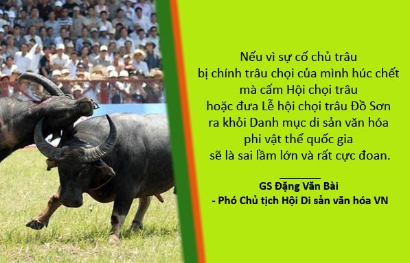 Dư âm “Người phán xử” và nguy cơ liệt tay của “hoàng tử xiếc” - 7 Xem thêm: “Loại bỏ Lễ hội chọi trâu Đồ Sơn là sai lầm lớn và rất cực đoan”