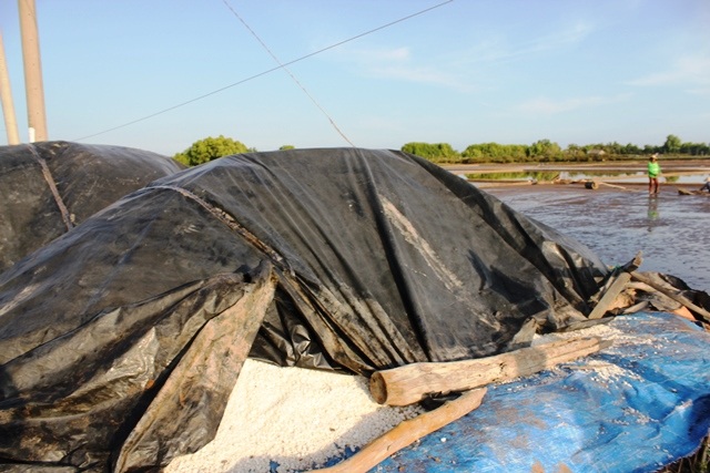 Diêm dân không còn “mặn mà” với muối dù giá tăng cao - 3 Muối từ vụ trước vẫn còn tồn ngoài bờ ruộng