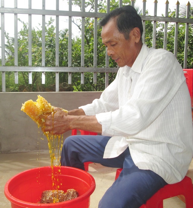 Mật ong “U Minh Hạ” lại điêu đứng vì bị giả mạo - 2 Hàng chục năm làm nghề gác kèo ong, chưa bao giờ ông Nhì cảm thấy buồn lo như hiện nay.