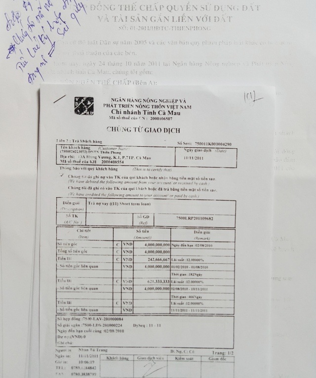 Cà Mau: Nghi vấn hợp đồng thế chấp tài sản vay tiền bị “phù phép” - 1 Ông Tô Thiên Phong cho rằng, hợp đồng đề ngày 24/10/2011, trong khi biên lai trả nợ cũ đề ngày 11/11/2011, tức một tài sản nhưng lại được thế chấp vay 2 hợp đồng ngân hàng là sai quy định.