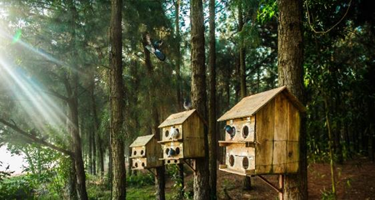 Sáng thức dậy giữa hương hoa thơm ngát - 2 Buổi sáng bình yên tại Flamingo