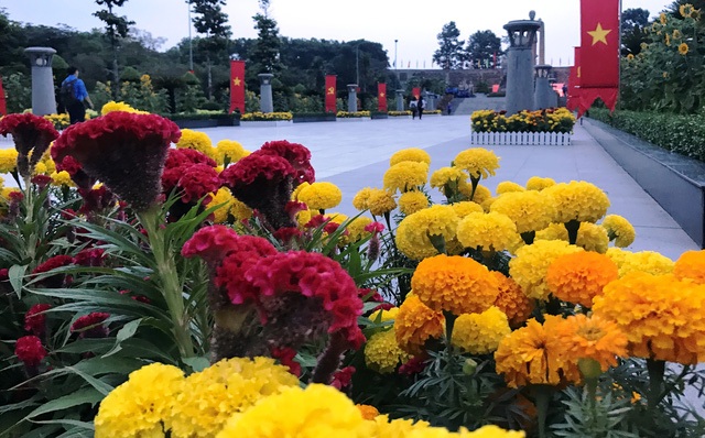 Nghĩa trang Liệt sĩ TPHCM rực rỡ cờ, hoa trong dịp kỷ niệm 70 năm ngày Thương binh - Liệt sĩ (27/7/1947 - 27/7/2017).
