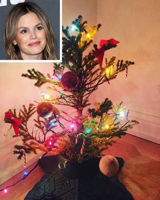 Sao trang hoàng cây thông Noel ra sao - 6
Cây thông nhỏ xinh của Rachel Bilson
