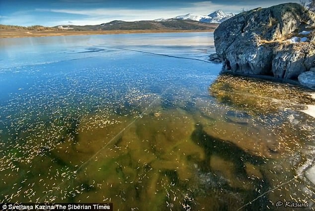 Mặt nước đóng băng trong giá lạnh