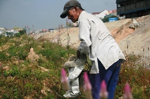 Dị nhân Huỳnh Hộ hằng ngày vẫn đi nhặt nhạnh gạch, đá để xây nhà.