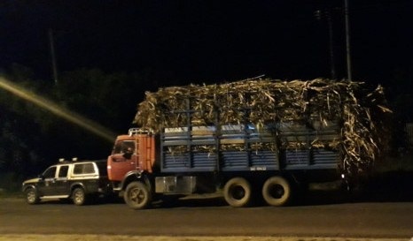 Đối tượng nhắn tin đe dọa “tông chết” thanh tra giao thông bị phạt 15 triệu đồng - 1 Thanh tra giao thông dừng một chiếc xe chở mía gần trạm cân 55