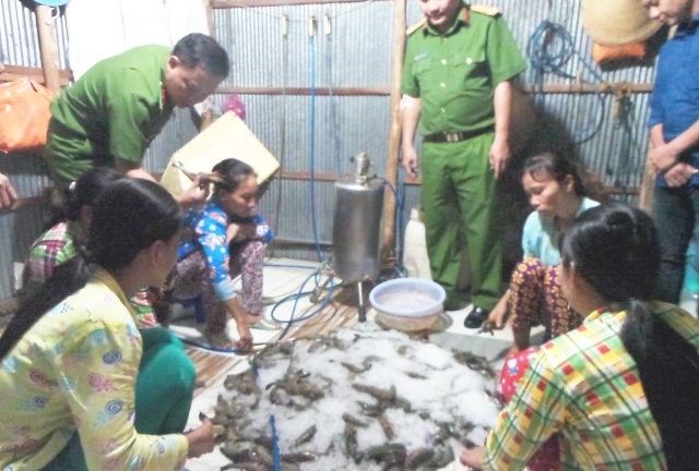 Bắt quả tang chủ 2 cơ sở là anh em ruột đang bơm tạp chất vào tôm - 1 Bắt quả tang một cơ sở đang bơm tạp chất vào tôm nguyên liệu. (Ảnh: CTV)
