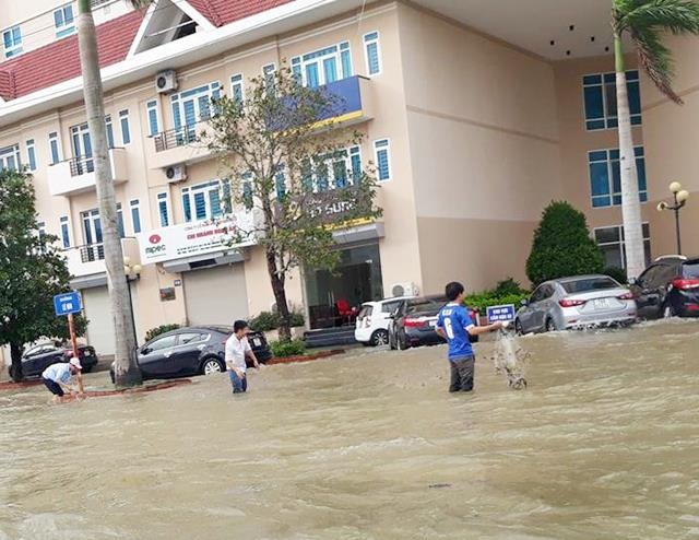 Công an dùng xe chuyên dụng giúp dân vượt vùng nước ngập - 12
Người dân TP Vinh giăng lưới bắt cá ngay trên đường sáng nay.