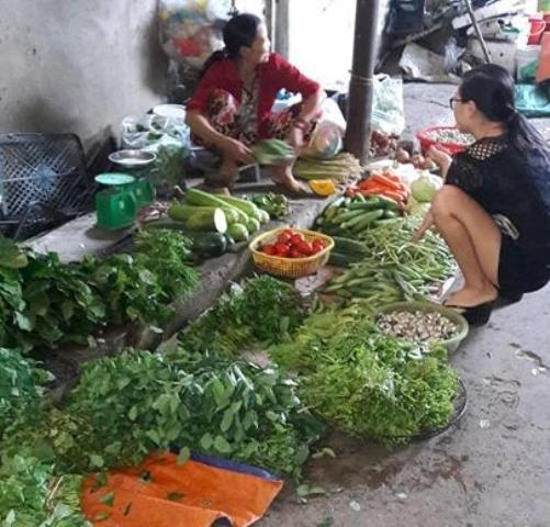 Thanh Hóa: Rau tăng giá gấp đôi vẫn không có hàng để bán - 2 Dù giá tăng gấp đôi vẫn không đủ hàng để cung cấp cho người tiêu dùng