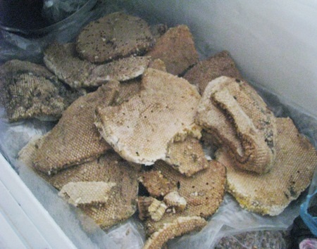 Nguyên liệu chính của mắm ong là ong non. Sau khi lấy hết mật, còn lại tàn ong, người ta mang rửa sạch bỏ vào tủ lạnh để giữ độ tươi. Khi nào dùng thì lấy ra dạo bỏ xác, chủ yếu lấy con ong non để làm mắm.