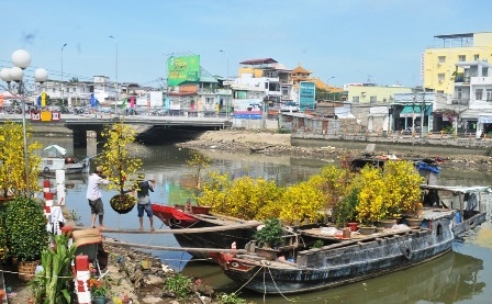 Hoa, kiểng ế ẩm, đồng loạt “xả hàng” chiều 30 Tết - 5 Hoa, kiểng ế ẩm, đồng loạt “xả hàng” chiều 30 Tết - 5