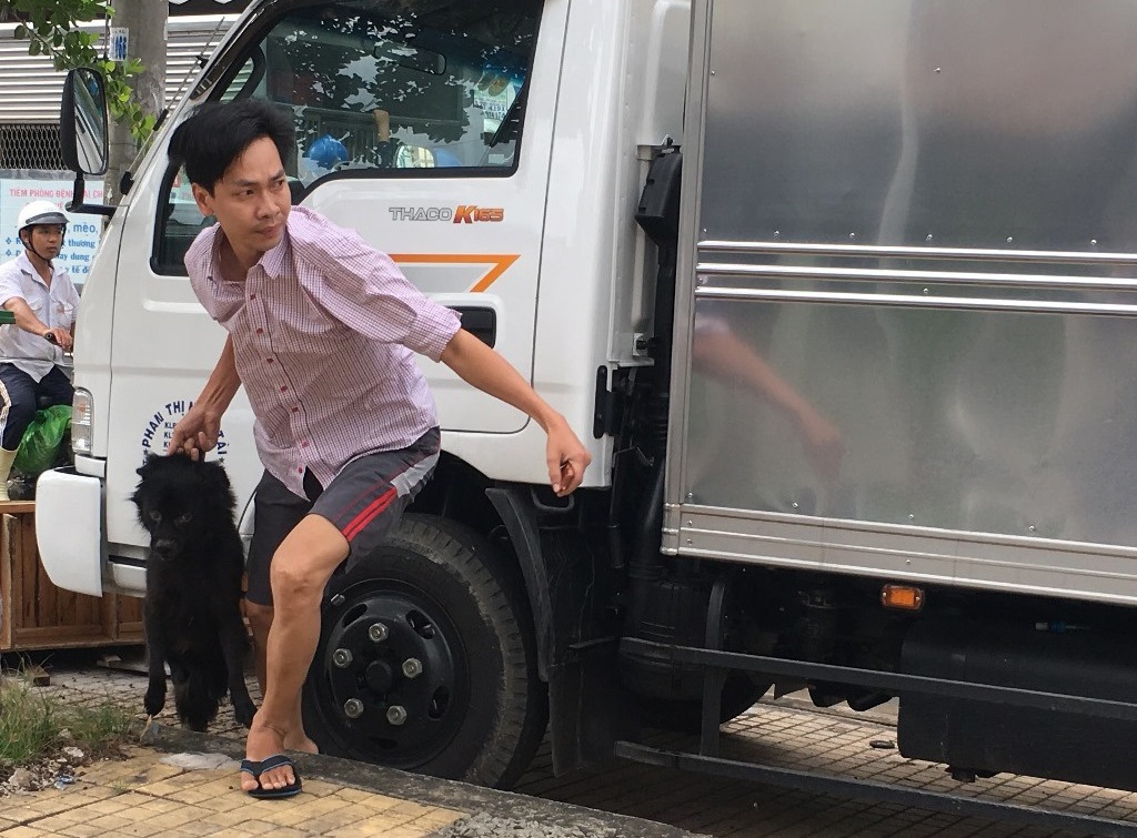 Khóc mếu cảnh lùng bắt chó thả rông trên phố - 5 Khóc mếu cảnh lùng bắt chó thả rông trên phố - 5