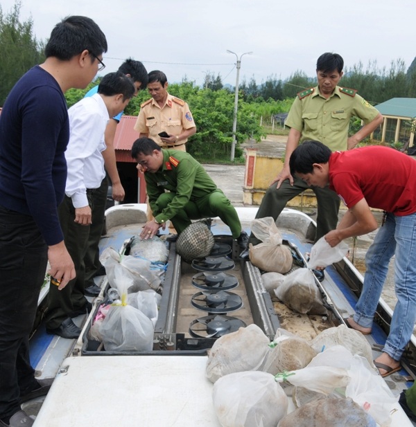 Xe khách biển Lào cất giấu nhiều hàng quốc cấm trên nóc - 2 Hàng chục kg rùa đầu to, tê tê... được phát hiện giấu kỹ trong nắp điều hòa thông gió của xe khách.